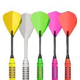 Click here to see larger photo of the New Bottelsen 18 Gram Neon Soft Tip Darts.