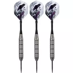 Click here to learn more about the Viper Underground "Raven" Steel Tip Darts .