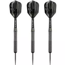 Click here to learn more about the Phil Taylor Power 8Zero 80% Tungsten Steel Tip Darts.