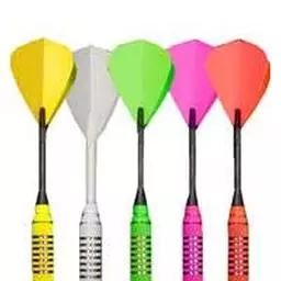 Click here to learn more about the Bottelsen 18 Gram Neon Steel Tip Darts.