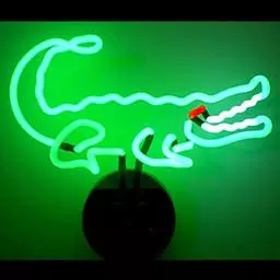 Click here to learn more about the Alligator Neon Sign.