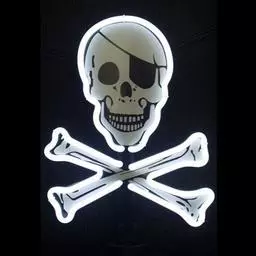 Click here to learn more about the Skull and Cross Bones Neon Sign.